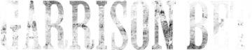 GarrisonBet logo